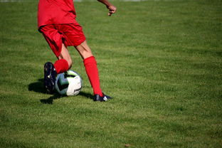 AYX体育官网-篮球运动员训练负荷智能监控系统研发及应用，基础阶段篮球训练负荷安排